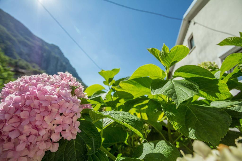 ויפאבה Farm Stay Ferjancic מראה חיצוני תמונה
